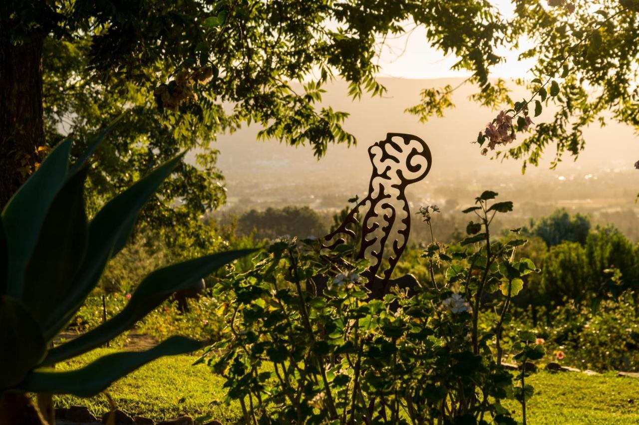 Pensjonat Amberg Country Estate Paarl Zewnętrze zdjęcie